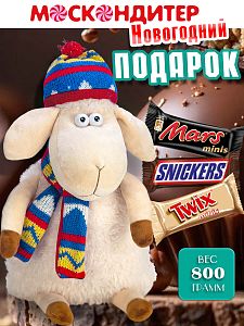 Новогодний подарок Вкусный новогодний подарок «Барашкин»